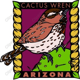 Cactus Wren - Arizona State Bird