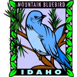 Mountain Bluebird - Idaho