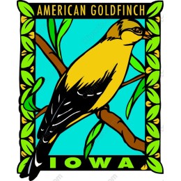 American Goldfinch