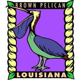 Brown Pelican - Louisiana Wildlife