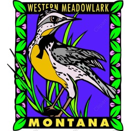 Western Meadowlark - Montana's State Bird