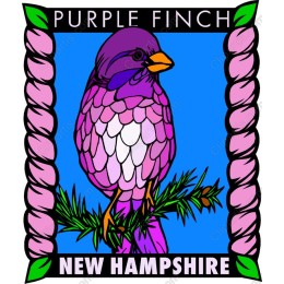 Purple Finch - New Hampshire