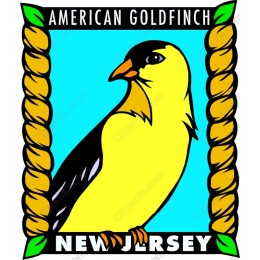 American Goldfinch