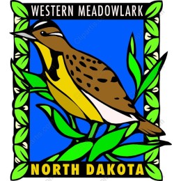 Vibrant Western Meadowlark