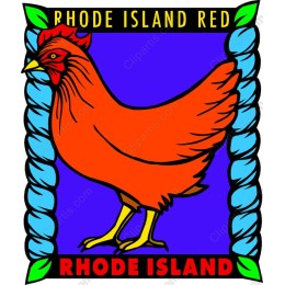 Rhode Island Red Chicken