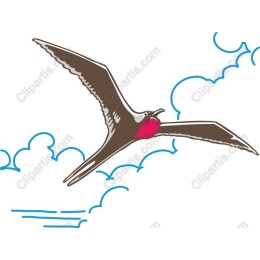 Soaring Heart Bird