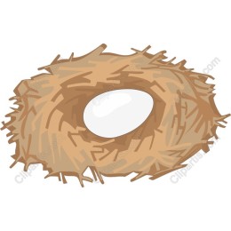 Bird's Nest with Egg