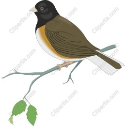 Charming Bird on Branch