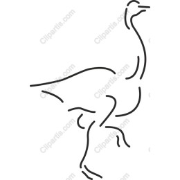Stylized Ostrich