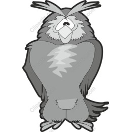 Whimsical Owl