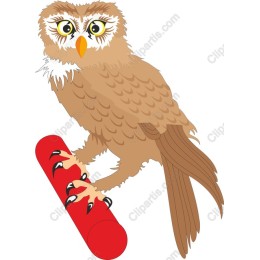 Skateboarding Owl