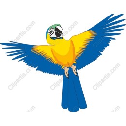 Vibrant Macaw