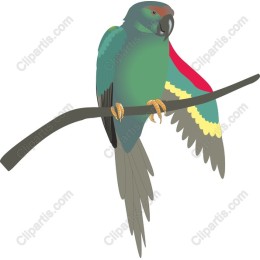 Vibrant Parrot