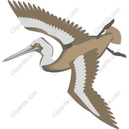 Heron in Flight