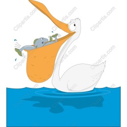 Pelican Joy: Playful