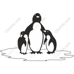 Adorable Penguin Family