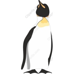 Charming Emperor Penguin