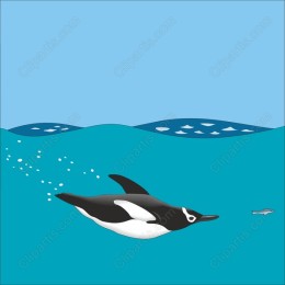 Playful Penguin Swimming