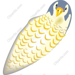 Whimsical Bird