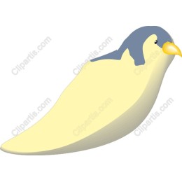 Charming Bird