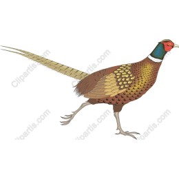 Pheasantwork