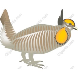 Elegant Bird