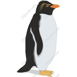 Whimsical Penguin