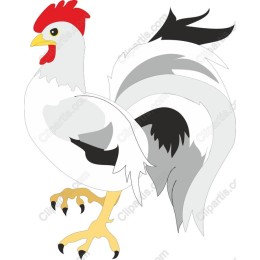 Vibrant Rooster