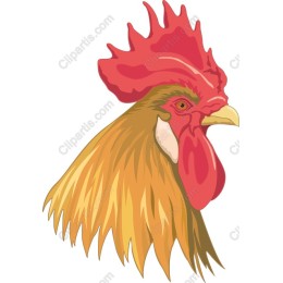 Majestic Rooster Head