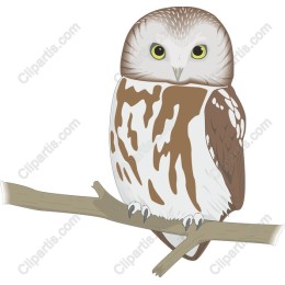 Majestic Owl