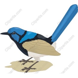 Vibrant Blue Bird