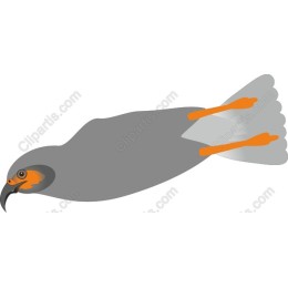 Stylized Bird