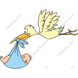 Whimsical Stork Delivery