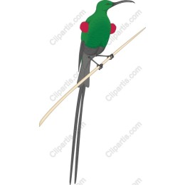 Vibrant Green Bird