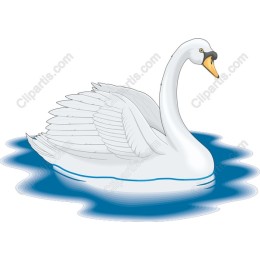 Elegant Swan