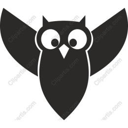Cute Owl