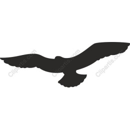 Majestic Eagle in Flight