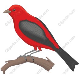 Vibrant Red Bird Perched on Branch