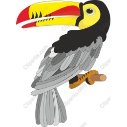 Vibrant Toucan