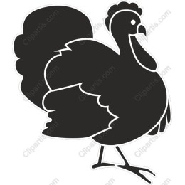 Thanksgiving Turkey