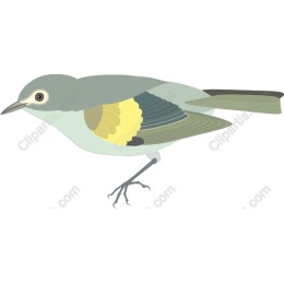 Whimsical Bird