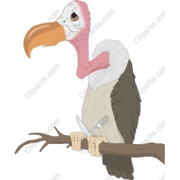 Playful Vulture Culinary
