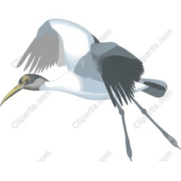 Elegant Flying Heron