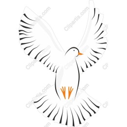 Soaring Bird
