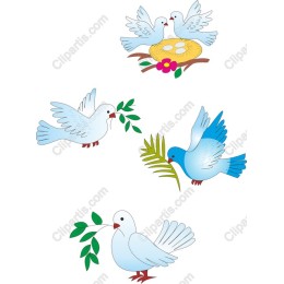 Charming Birds Set