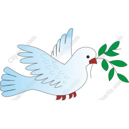 Peaceful Dove with Olive Branch