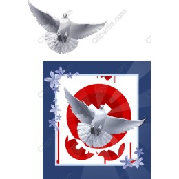 Elegant Dove in Flight