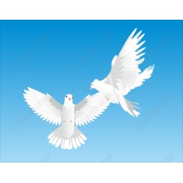 Elegant White Doves