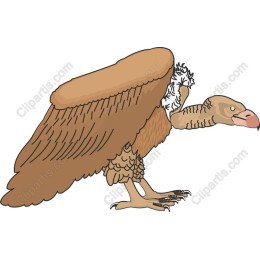Majestic Vulture