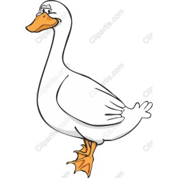 Playful Goose